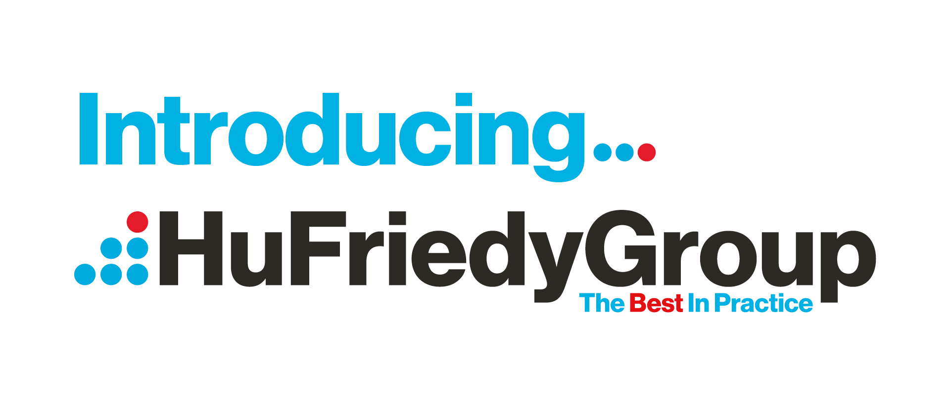 IntroducingHU-FriedyGroup